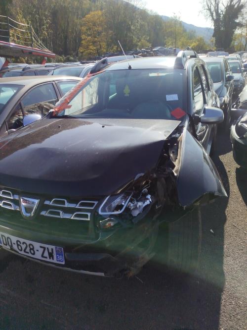 Porte arriere gauche DACIA DUSTER 1 PHASE 2 Diesel image 1