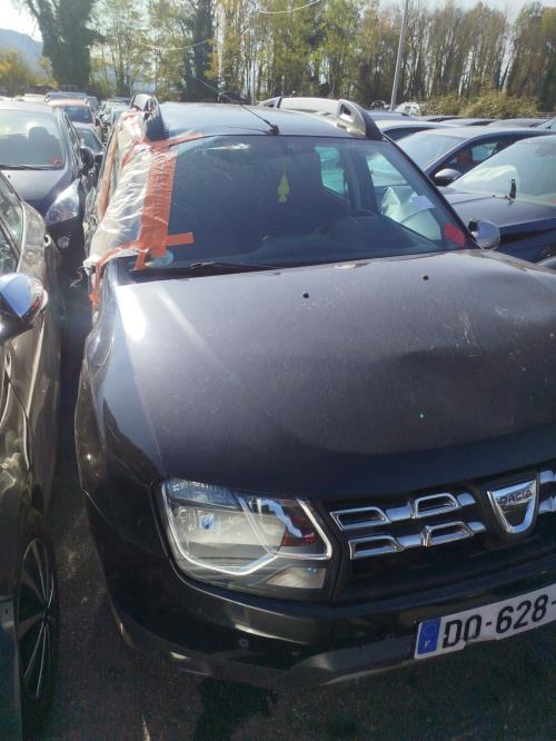 Porte arriere gauche DACIA DUSTER 1 PHASE 2 Diesel image 2