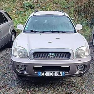 Porte arriere gauche HYUNDAI SANTA FE 1 Diesel image 1