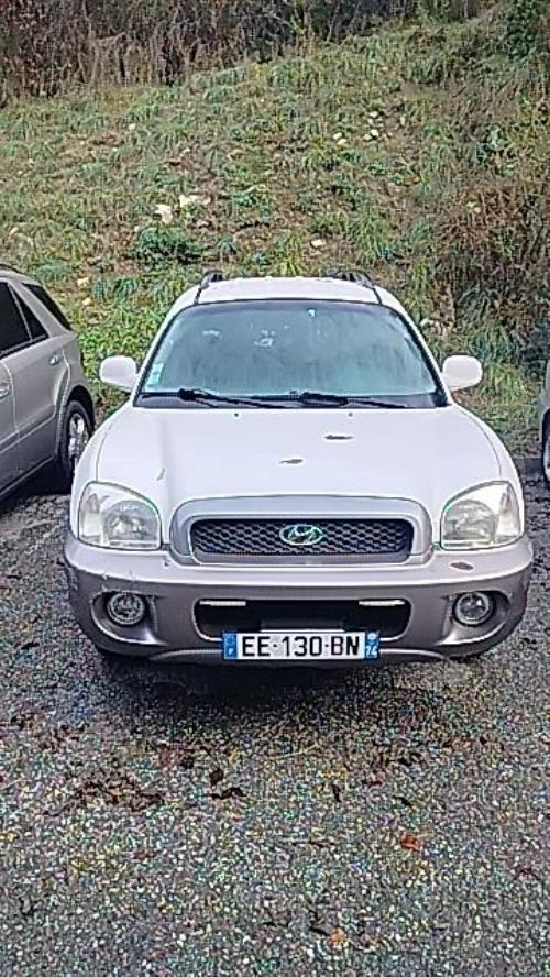 Porte arriere gauche HYUNDAI SANTA FE 1 Diesel image 1