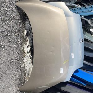Capot RENAULT SCENIC 3 PHASE 3 Diesel image 1