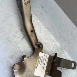 Charniere de capot RENAULT SCENIC 3 PHASE 3 Diesel image 1