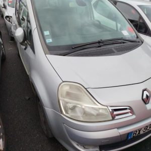 Bouton de warning RENAULT GRAND MODUS PHASE 2 Diesel image 5