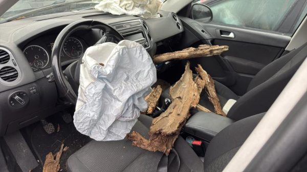 Porte fusible VOLKSWAGEN TIGUAN 1 PHASE 2 Diesel image 2
