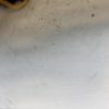 Com (Bloc Contacteur Tournant+Commodo Essuie Glace+Commodo Phare) FIAT PANDA 2 PHASE 2 Essence image 2