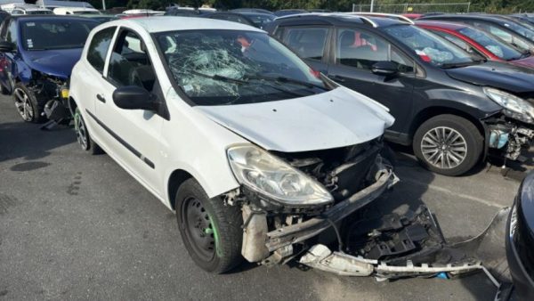 Malle/Hayon arriere RENAULT CLIO 3 PHASE 2 Diesel image 3