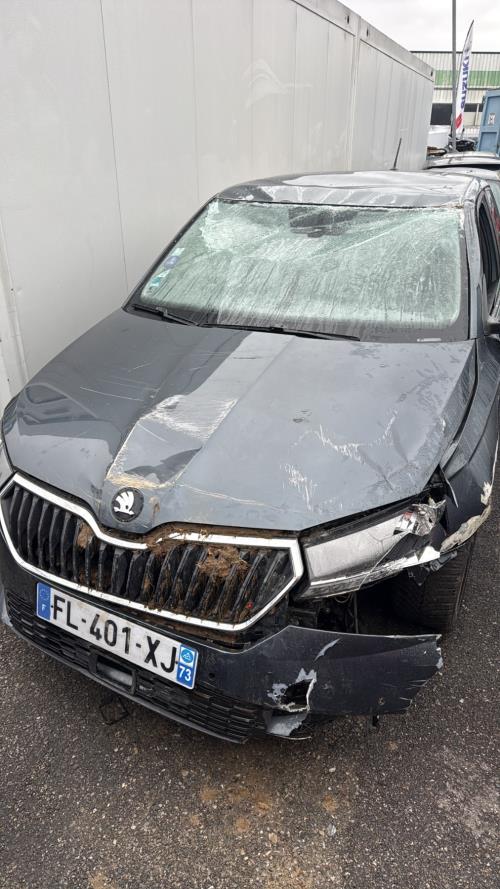 Malle/Hayon arriere SKODA FABIA 3 PHASE 2 Essence image 1