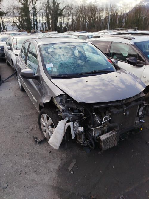 Porte avant droit RENAULT CLIO 3 PHASE 2 Diesel image 1