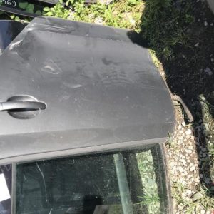 Porte arriere gauche VOLKSWAGEN POLO 5 PHASE 1 Diesel - Image 1