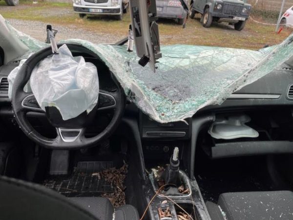 Poignee interieur avant gauche RENAULT MEGANE 4 PHASE 2 Diesel/Hybride - Image 6