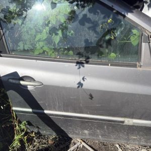 Porte avant droit RENAULT CLIO 3 PHASE 2 Diesel - Image 1