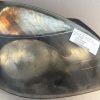Optique avant principal droit (feux)(phare) RENAULT CLIO 2 PHASE 2 Diesel - Image 2