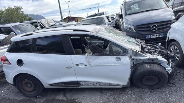 Porte arriere droit RENAULT CLIO 4 PHASE 2 BREAK Diesel - Image 4