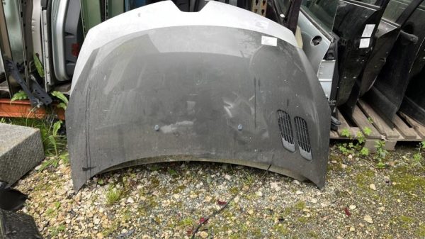 Capot PEUGEOT 206+ Essence - Image 1