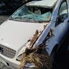 Moteur essuie glace arriere MERCEDES VITO 639 PHASE 1 Diesel - Image 6