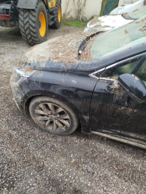 Bras essuie glace avant gauche RENAULT CLIO 5 Essence/Hybride - Image 8