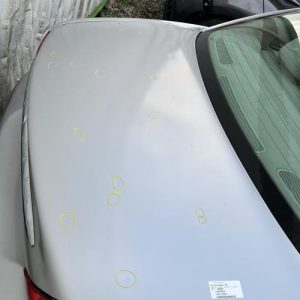 Malle/Hayon arriere JAGUAR X-TYPE PHASE 1 Essence - Image 1