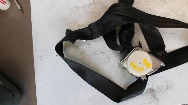 Ceinture arriere gauche VOLKSWAGEN GOLF PLUS PHASE 1 Diesel - Image 2