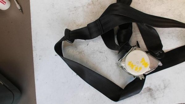 Ceinture arriere gauche VOLKSWAGEN GOLF PLUS PHASE 1 Diesel - Image 3