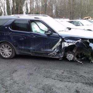 Calandre LAND ROVER DISCOVERY 5 Diesel - Image 3