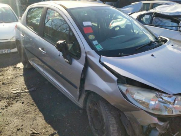 Eclairage de plaque PEUGEOT 207 PHASE 1 Diesel - Image 5