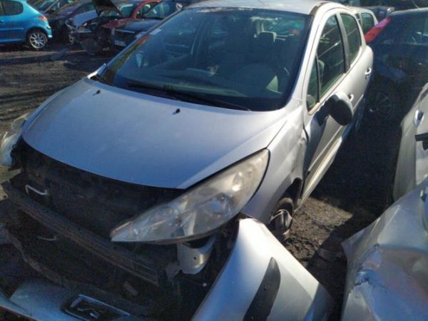 Eclairage de plaque PEUGEOT 207 PHASE 1 Diesel - Image 6