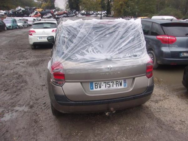 Bouton de warning RENAULT GRAND MODUS PHASE 2 Diesel - Image 5