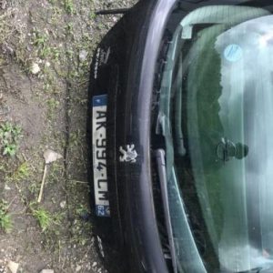 Malle/Hayon arriere PEUGEOT 207 PHASE 2 Diesel - Image 1