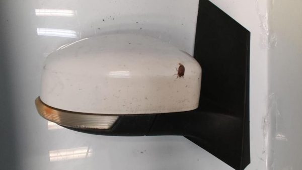 Retroviseur droit FORD FOCUS 2 PHASE 2 Diesel - Image 3