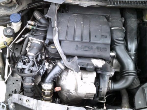 Leve vitre electrique avant gauche RENAULT CLIO 4 PHASE 2 Diesel - Image 7