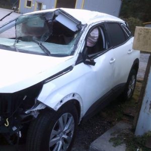 Pedale d'accelerateur PEUGEOT 3008 2 PHASE 1 Diesel - Image 3