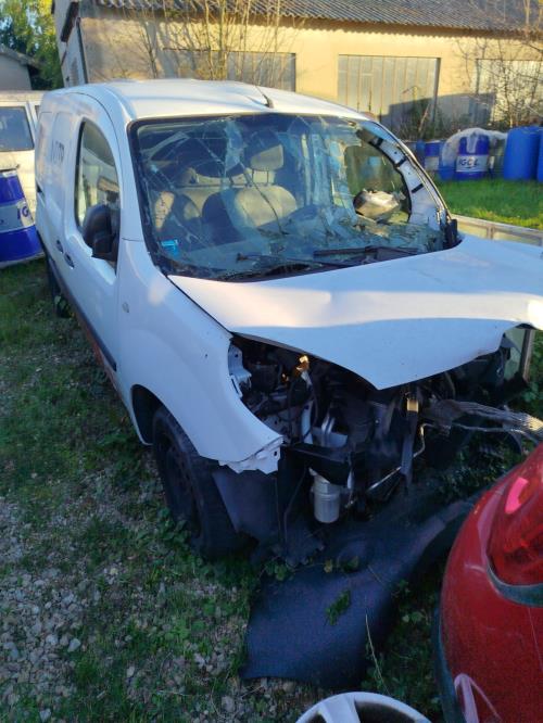 Porte avant droit RENAULT KANGOO 2 PHASE 2 Diesel - Image 2