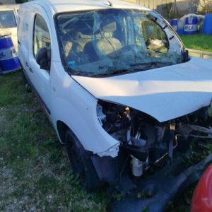 Porte de coffre droit RENAULT KANGOO 2 PHASE 2 Diesel - Image 1