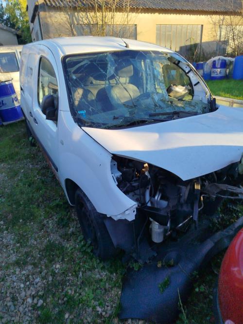 Porte de coffre gauche RENAULT KANGOO 2 PHASE 2 Diesel - Image 1