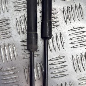 Verin de capot RENAULT SCENIC 3 PHASE 1 Ethanol - Image 1