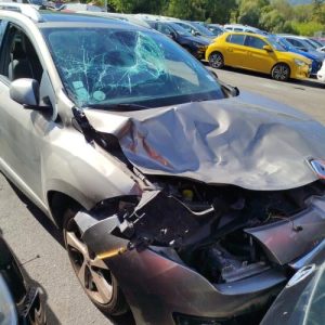 Renfort pare choc arriere (traverse) RENAULT MEGANE 3 PHASE 2 BREAK Diesel - Image 1