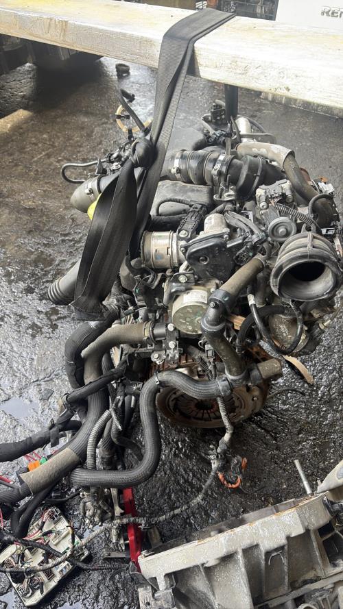 Moteur RENAULT KANGOO 2 PHASE 2 Diesel - Image 2