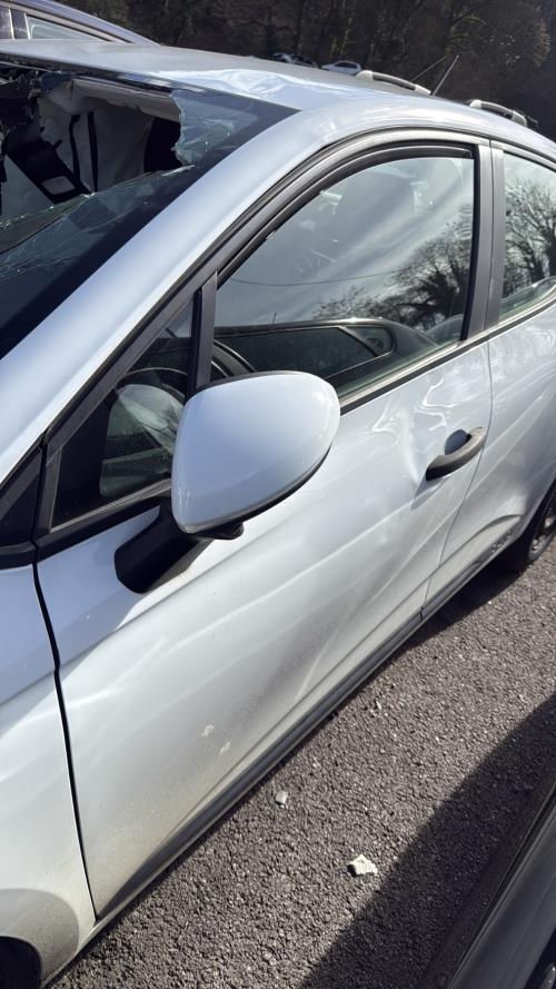 Porte avant gauche RENAULT CLIO 5 PHASE 1 Diesel/Hybride - Image 1