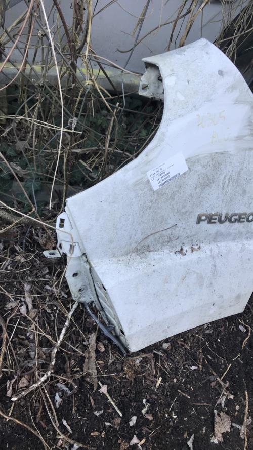 Aile avant gauche PEUGEOT BOXER 3 PHASE 1 Diesel - Image 2