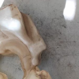 Vase de lave glace MINI MINI 2 R57 CABRIOLET PHASE 2 Essence - Image 1