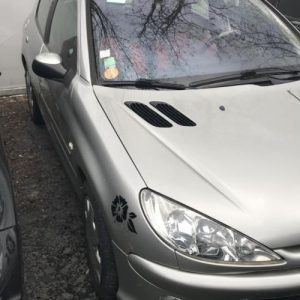 Aile avant droit PEUGEOT 206 PHASE 2 Diesel - Image 1